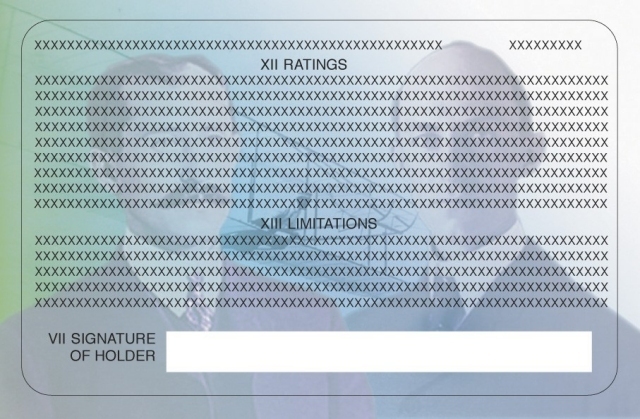 Example of a pilot's license