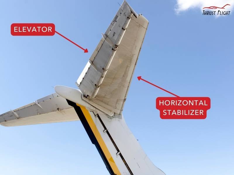 horizontal stabilizer and elevator