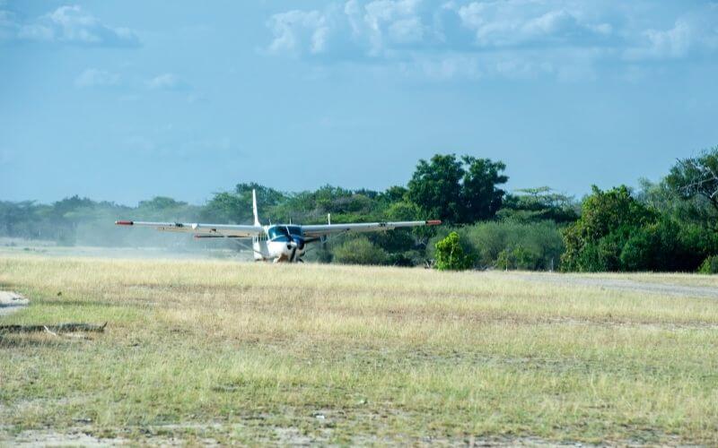 Cessna landing in the grass
